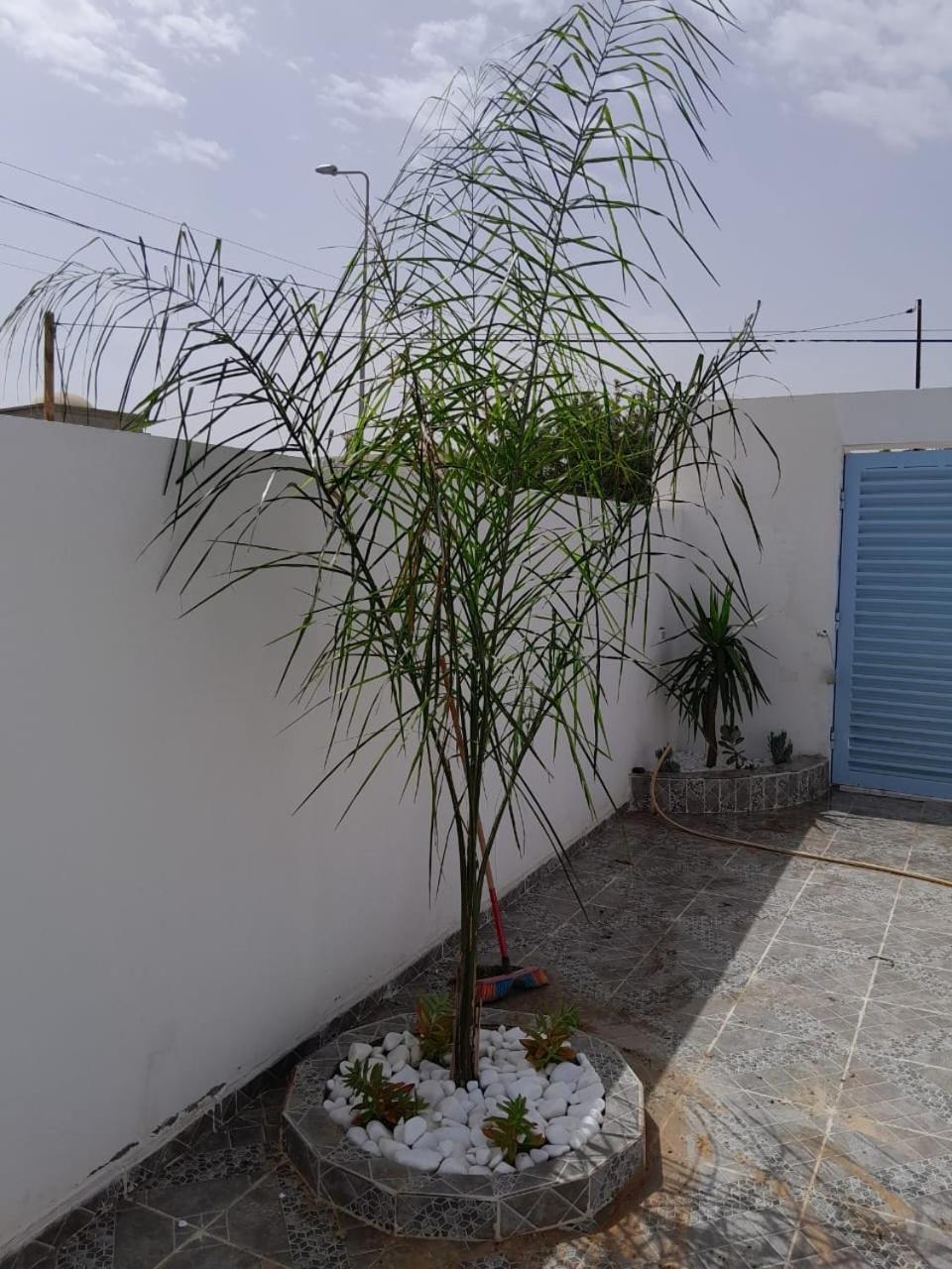 Studio Rouge Cosy A Dar Lili Djerba 迈来亚 外观 照片