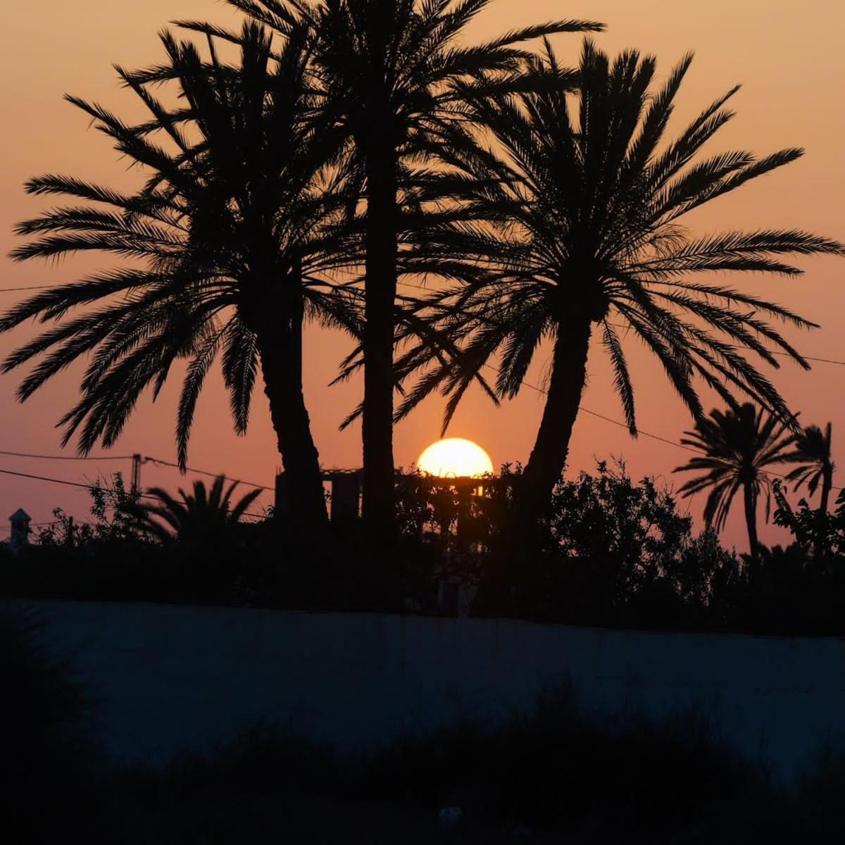 Studio Rouge Cosy A Dar Lili Djerba 迈来亚 外观 照片